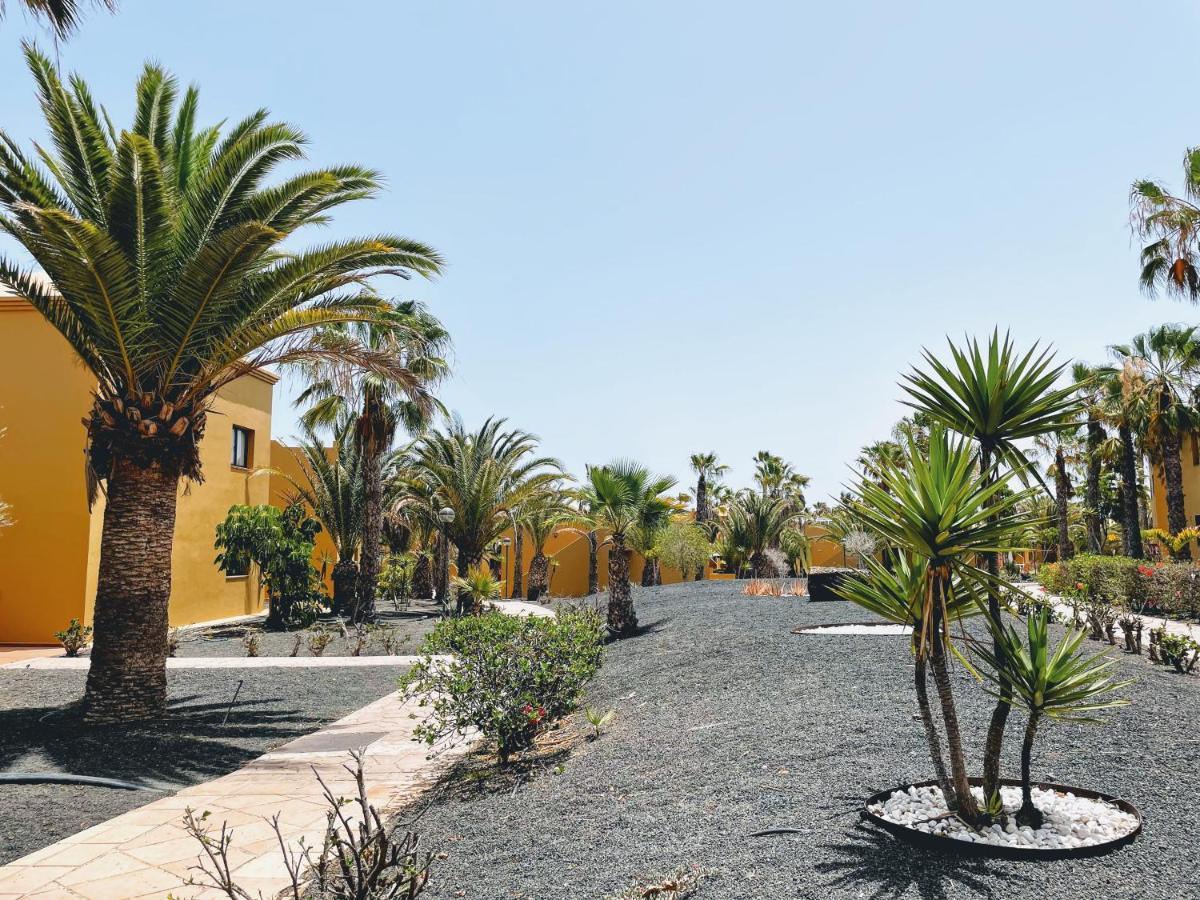 דירות Casa Relax Papagayo Corralejo Irent Fuerteventura מראה חיצוני תמונה