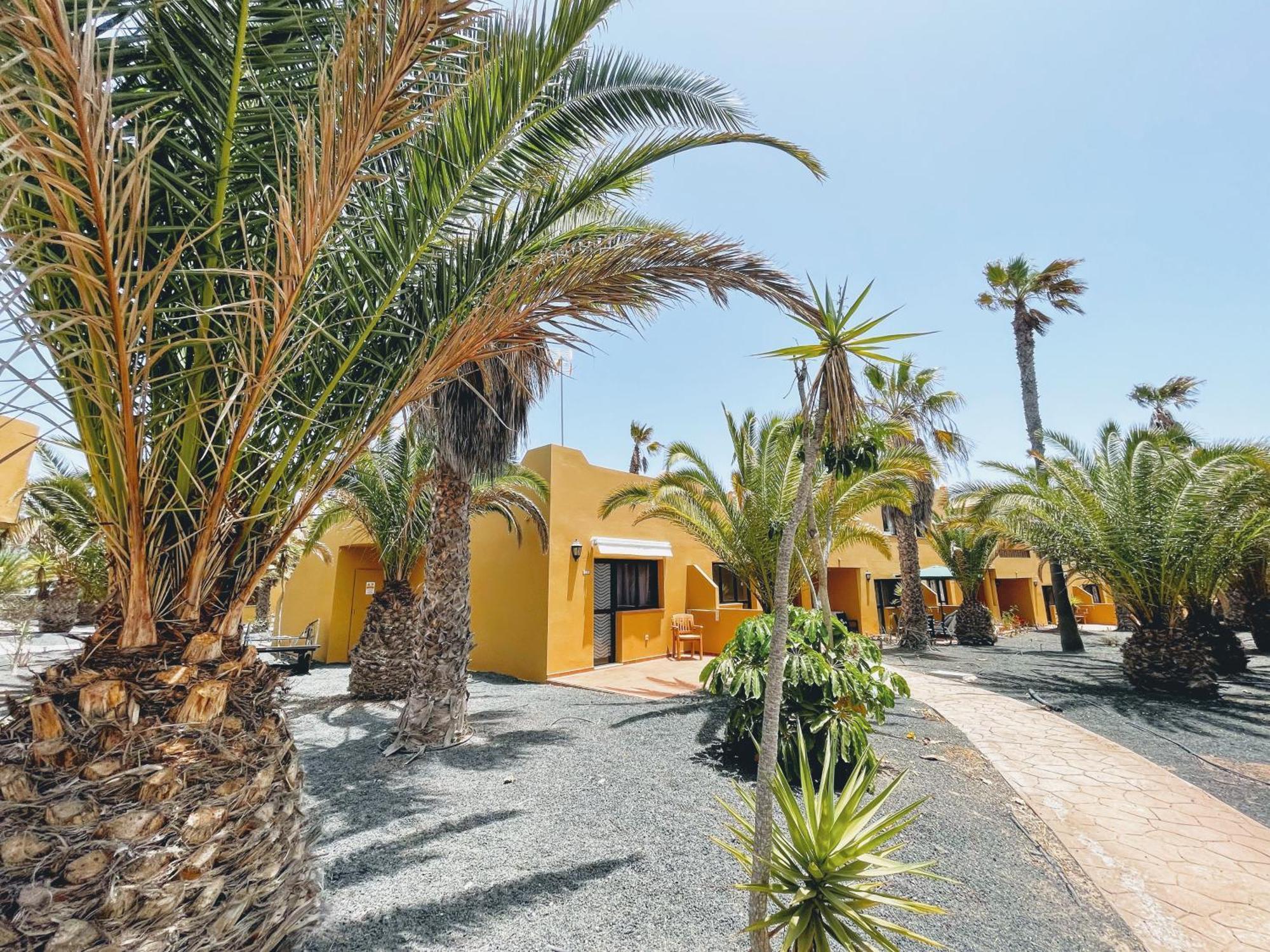 דירות Casa Relax Papagayo Corralejo Irent Fuerteventura מראה חיצוני תמונה