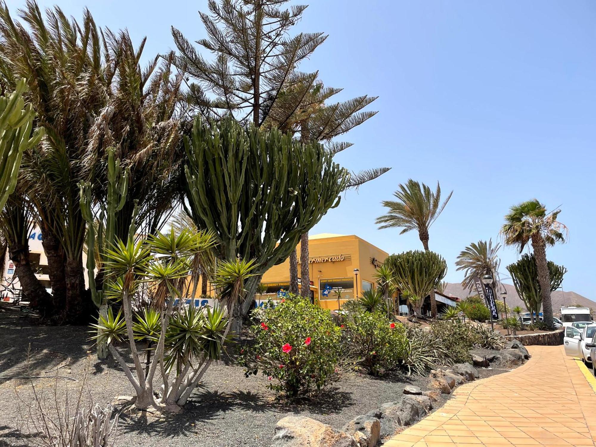 דירות Casa Relax Papagayo Corralejo Irent Fuerteventura מראה חיצוני תמונה